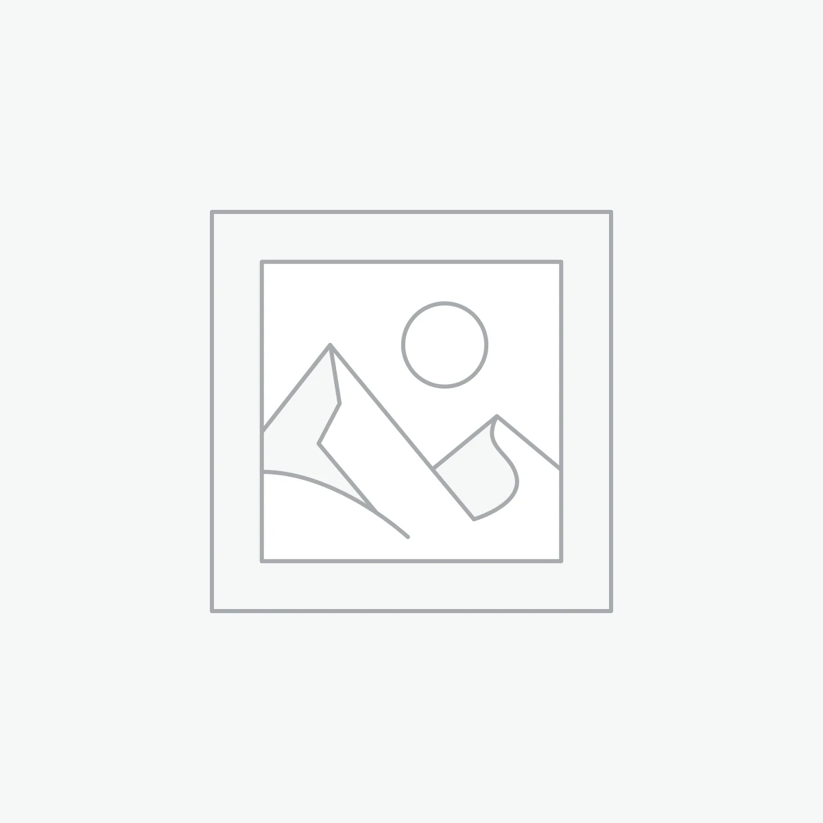 EX Electronic Counters